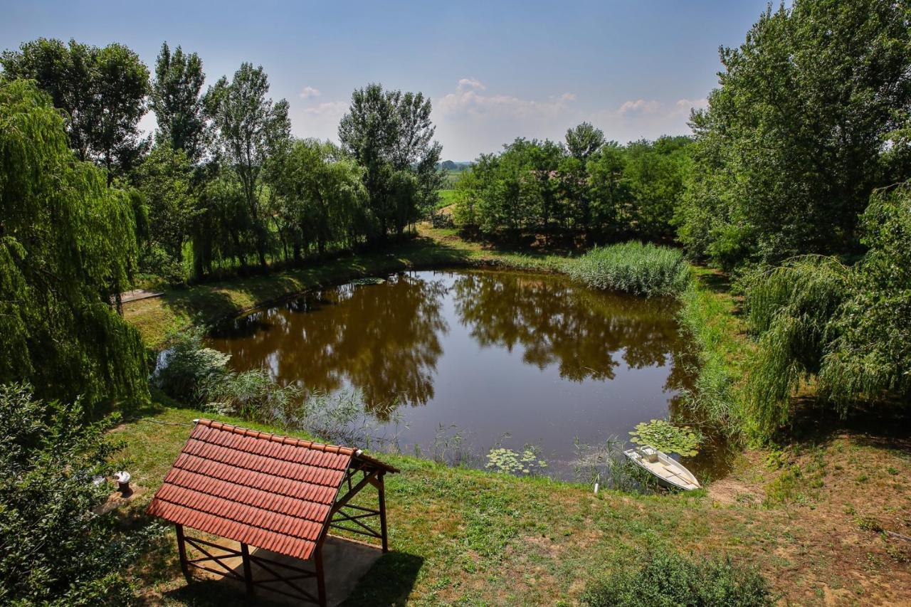 Bed and Breakfast Tulip Garden Panzio Kekcse Экстерьер фото