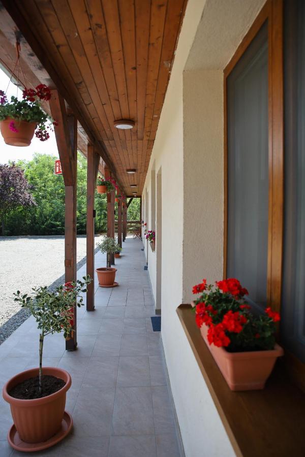 Bed and Breakfast Tulip Garden Panzio Kekcse Экстерьер фото